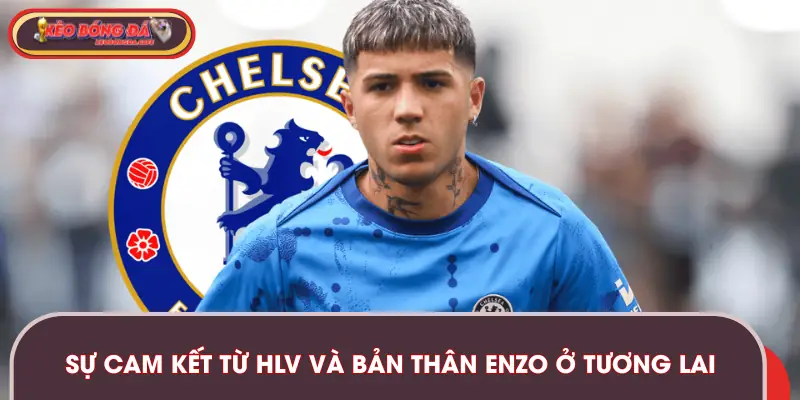 Sự cam kết về độ hợp tác của Enzo và Chelsea