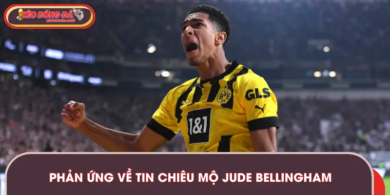 Phản ứng dữ dội của người hâm mộ cùng giới báo chí