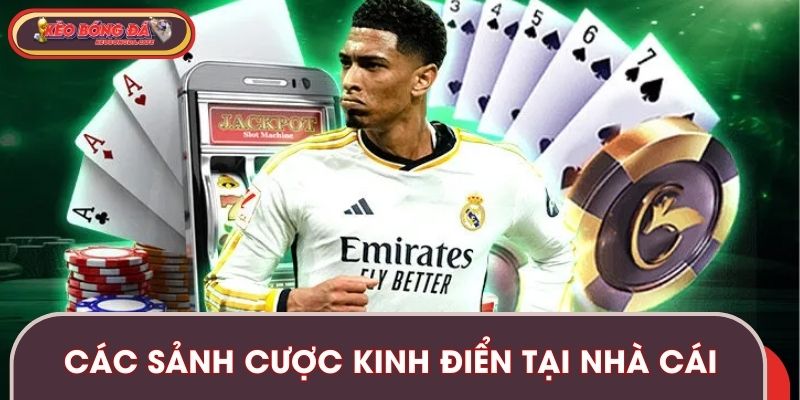 Các sảnh cược kinh điển không thể bỏ qua